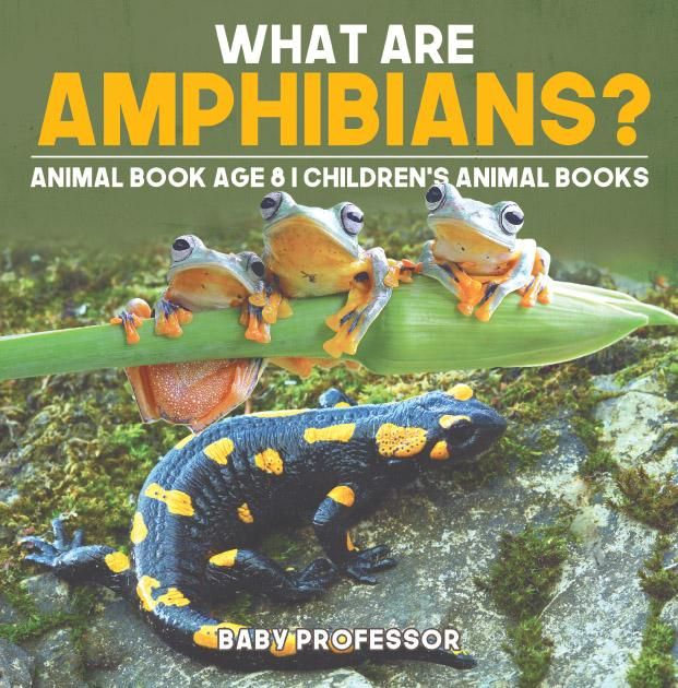 Produktbild: What are Amphibians? Animal Book Age 8 | Children's Animal Books