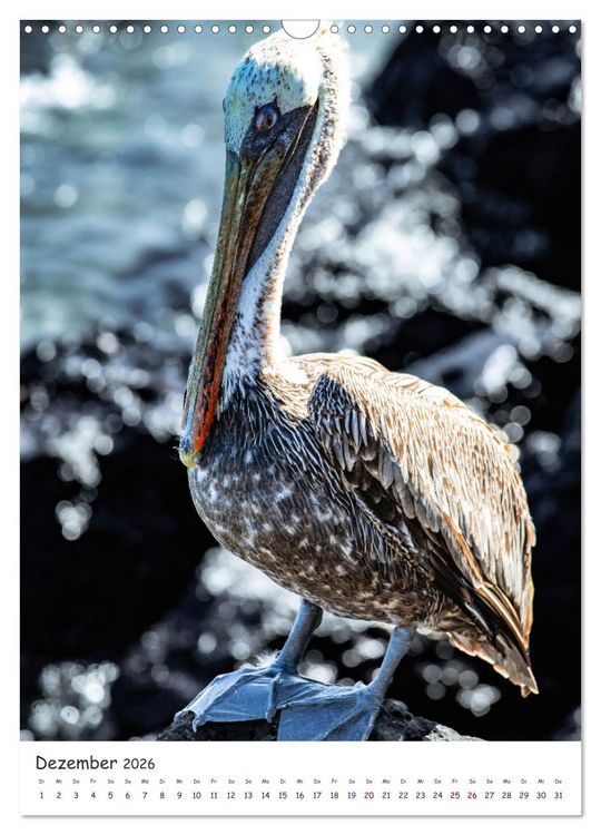 Produktbild: Wildlife - Die Tierwelt der Galapagos Inseln (Wandkalender 2026 DIN A3 hoch), CALVENDO Monatskalender