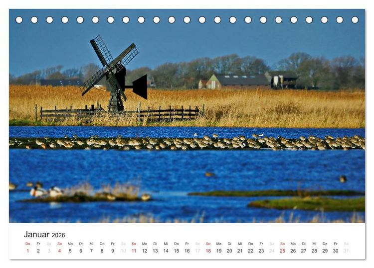 Produktbild: Texel &ndash; Eine Insel die verzaubert (Tischkalender 2026 DIN A5 quer), CALVENDO Monatskalender