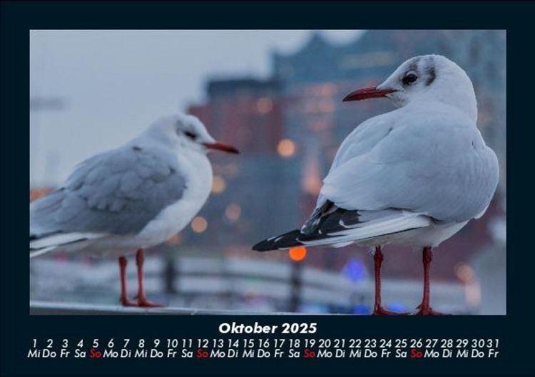 Produktbild: Welt der V&ouml;gel 2025 Fotokalender DIN A5
