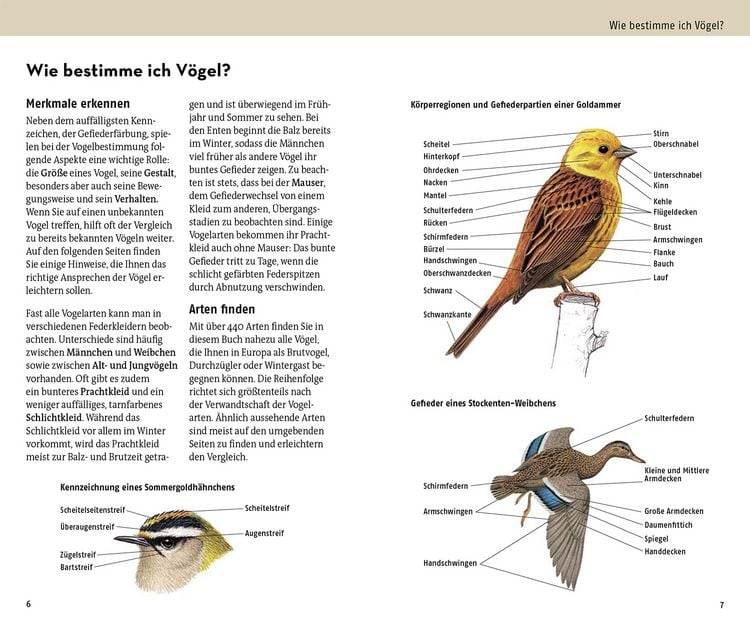 Produktbild: Welcher Vogel ist das?
