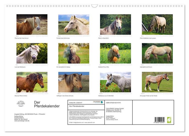 Produktbild: Der Pferdekalender (Wandkalender 2026 DIN A2 quer), CALVENDO Monatskalender