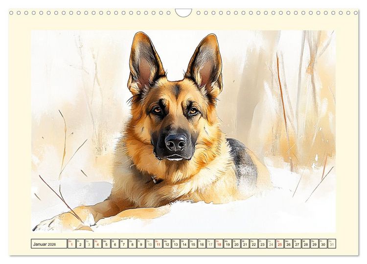 Produktbild: Deutsche Sch&auml;ferhunde. Majest&auml;tische W&auml;chter im Aquarell-Stil (Wandkalender 2026 DIN A3 quer), CALVENDO Monatskalender
