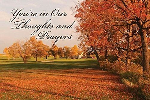 Produktbild: You're in Our Thoughts and Prayers Postcards, Package of 25