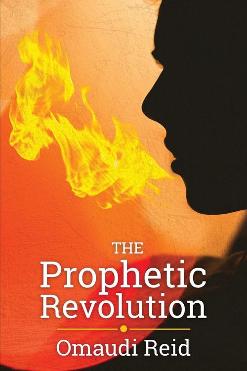 Produktbild: The Prophetic Revolution