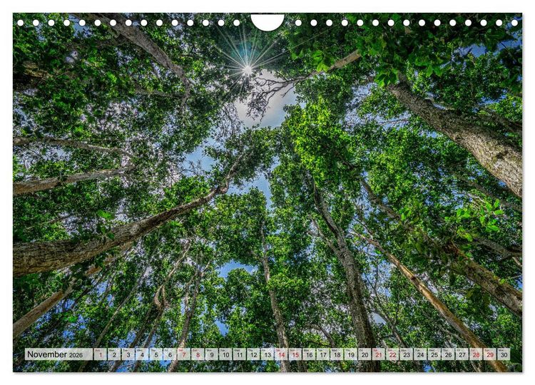 Produktbild: Welcome to Zanzibar (Wall Calendar 2026 DIN A4 landscape), CALVENDO 12 Month Wall Calendar