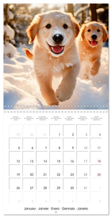 Produktbild: Cute PUPPY PERSONALITIES (Wall Calendar 2026 12 &times; 12 Inch) CALVENDO 12 Month Wall Calendar