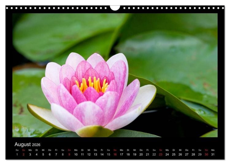 Produktbild: Natur erleben... (Wandkalender 2026 DIN A3 quer), CALVENDO Monatskalender