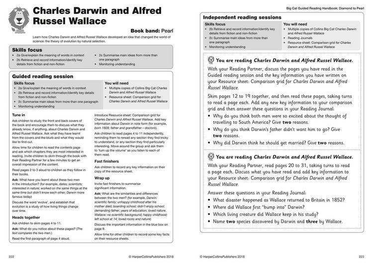 Produktbild: Collins Big Cat - Guided Reading Handbook Diamond to Pearl