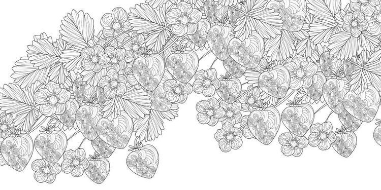 Produktbild: Wonderful Gardens