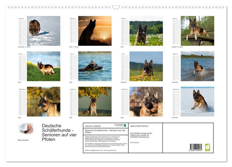 Produktbild: Deutsche Sch&auml;ferhunde - Senioren auf vier Pfoten (Wandkalender 2026 DIN A2 quer), CALVENDO Monatskalender