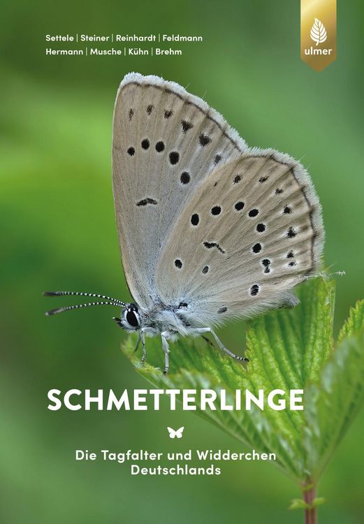 Produktbild: Schmetterlinge