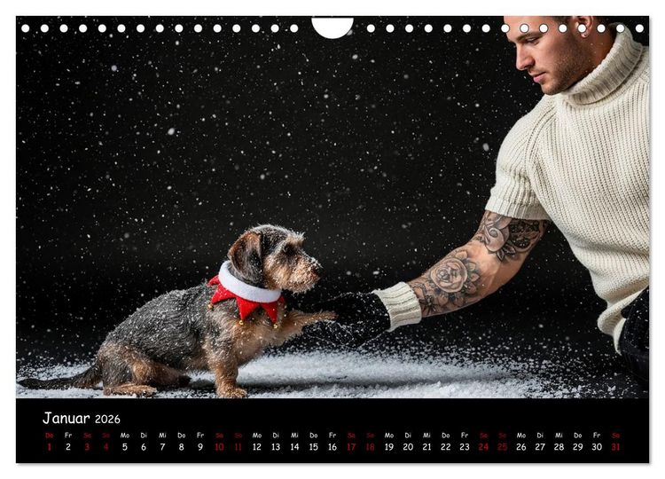 Produktbild: Coole Typen - Rauhaardackel (Wandkalender 2026 DIN A4 quer), CALVENDO Monatskalender