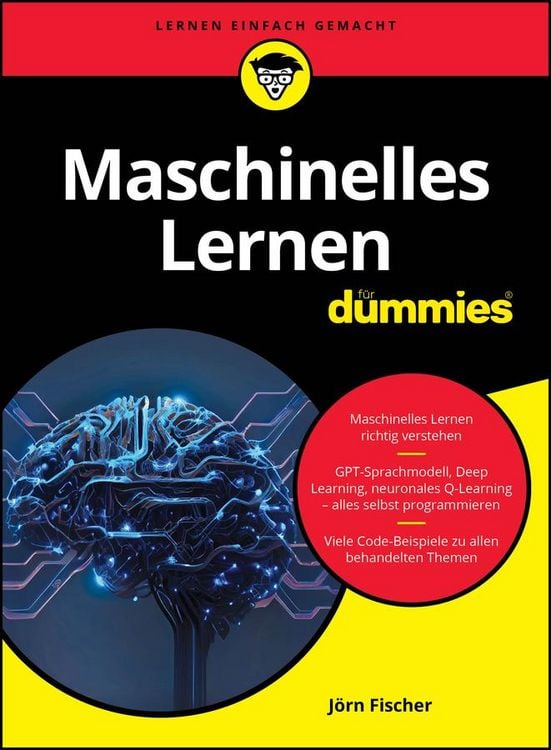 Produktbild: Maschinelles Lernen für Dummies