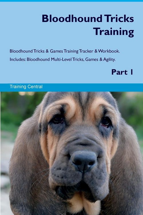 Produktbild: Bloodhound Tricks Training Bloodhound Tricks & Games Training Tracker & Workbook. Includes