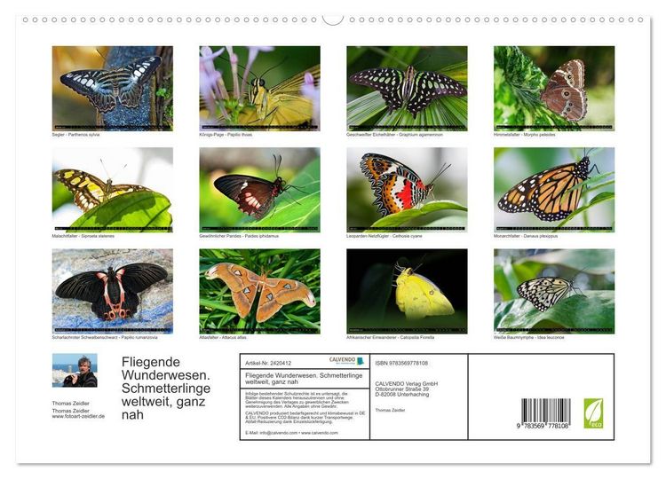 Produktbild: Fliegende Wunderwesen. Schmetterlinge weltweit, ganz nah (hochwertiger Premium Wandkalender 2027 DIN A2 quer), Kunstdruck in Hochglanz