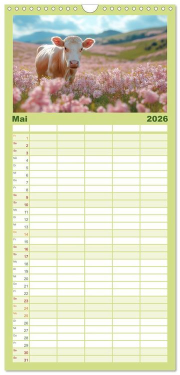 Produktbild: Familienplaner 2026 - K&Uuml;HE AUF DER ALM &ndash; Der Kalender aus Bayern mit 5 Spalten (Wandkalender, 21 x 45 cm) CALVENDO