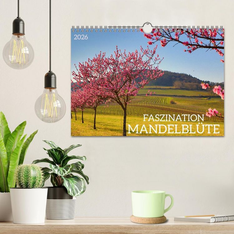 Produktbild: FASZINATION MANDELBL&Uuml;TE (Wandkalender 2026 DIN A4 quer), CALVENDO Monatskalender