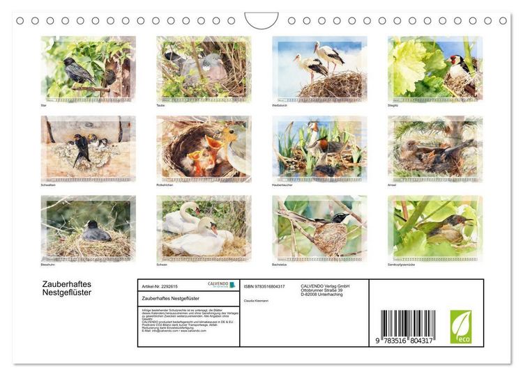 Produktbild: Zauberhaftes Nestgefl&uuml;ster (Wandkalender 2027 DIN A4 quer), CALVENDO Monatskalender