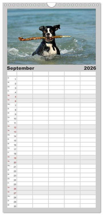 Produktbild: Familienplaner 2026 - Gut - besser - Boxer mit 5 Spalten (Wandkalender, 21 x 45 cm) CALVENDO