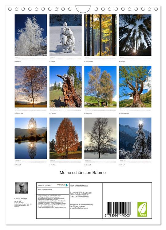 Produktbild: Meine sch&ouml;nsten B&auml;ume (Wandkalender 2026 DIN A4 hoch), CALVENDO Monatskalender