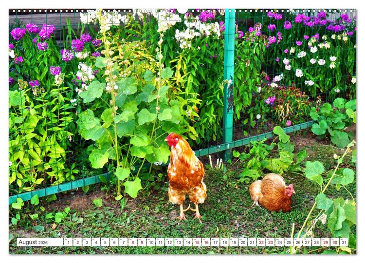Produktbild: Dorfidylle - Landleben in Russland (hochwertiger Premium Wandkalender 2026 DIN A2 quer), Kunstdruck in Hochglanz