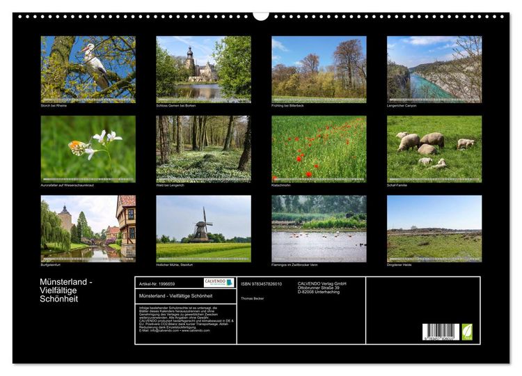 Produktbild: M&uuml;nsterland - Vielf&auml;ltige Sch&ouml;nheit (Wandkalender 2026 DIN A2 quer), CALVENDO Monatskalender