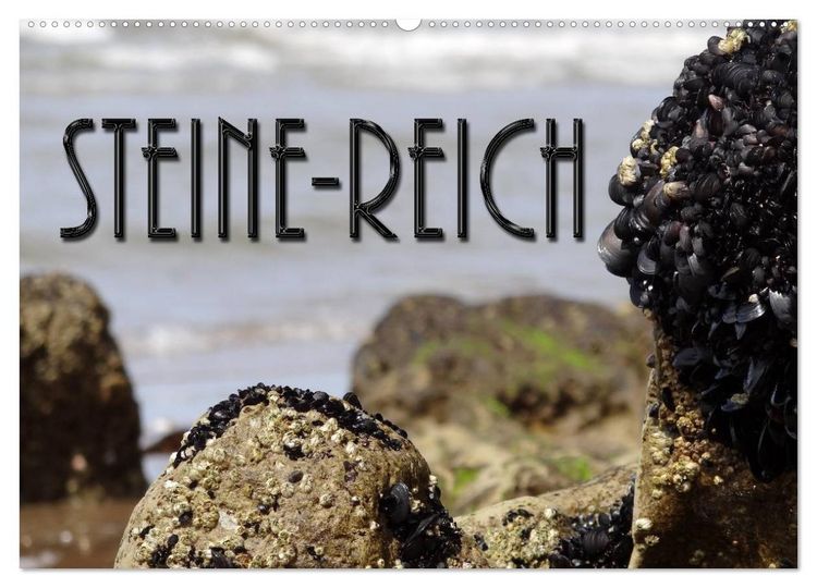 Produktbild: Steine-Reich (Wandkalender 2026 DIN A2 quer), CALVENDO Monatskalender