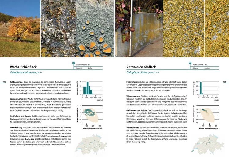 Produktbild: Flechten der Schweiz