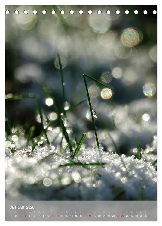 Produktbild: Mit Bokeh-Fotografie durch das Jahr (Tischkalender 2026 DIN A5 hoch), CALVENDO Monatskalender