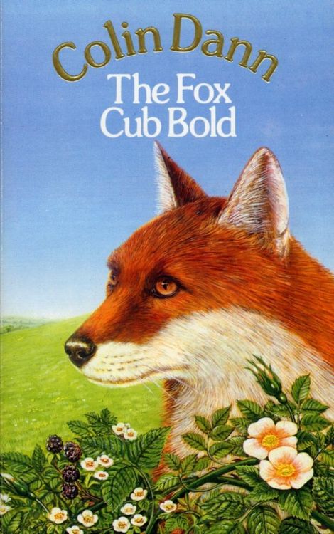 Produktbild: The Fox Cub Bold