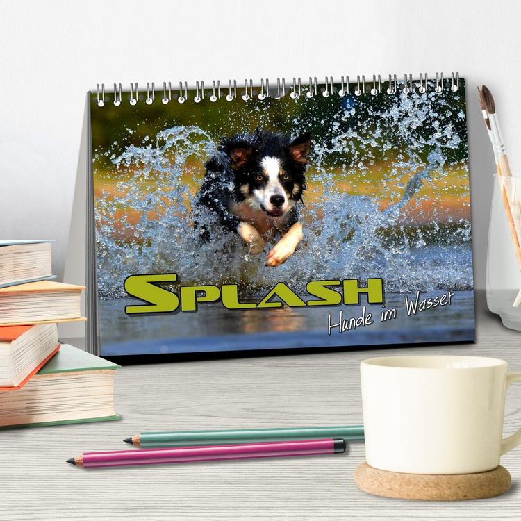 Produktbild: SPLASH - Hunde im Wasser (Tischkalender 2026 DIN A5 quer), CALVENDO Monatskalender