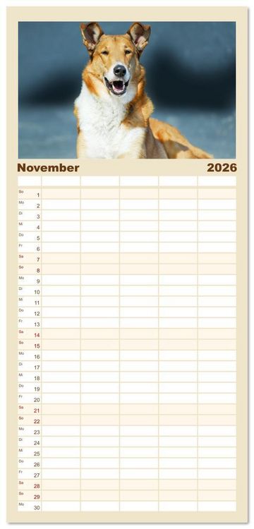 Produktbild: Familienplaner 2026 - Ein Freund f&uuml;rs Leben - Smooth Collie mit 5 Spalten (Wandkalender, 21 x 45 cm) CALVENDO