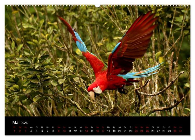 Produktbild: Ama la Vida Ecuador (Wandkalender 2026 DIN A2 quer), CALVENDO Monatskalender