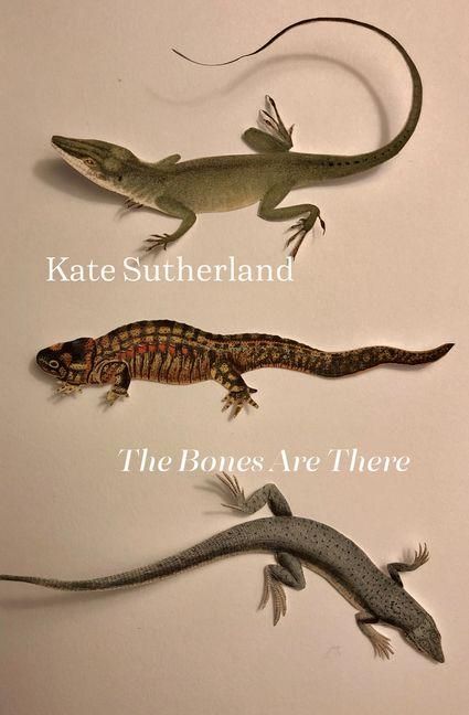 Produktbild: The Bones Are There