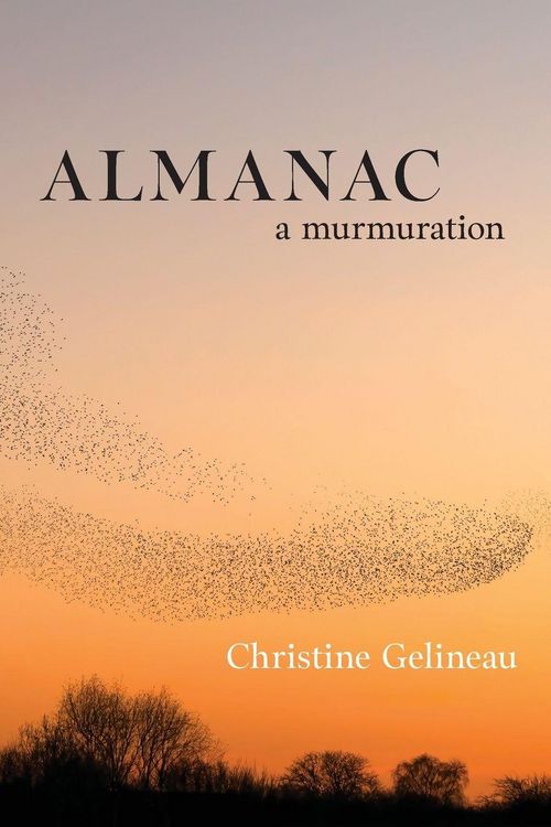Produktbild: Almanac