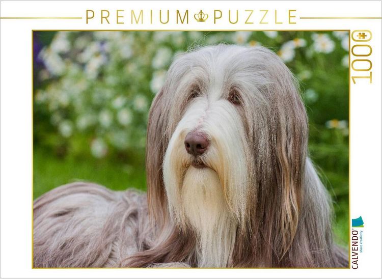 Produktbild: CALVENDO Puzzle Bearded Collie H&uuml;ndin | 1000 Teile Lege-Gr&ouml;&szlig;e 64x48cm Foto-Puzzle f&uuml;r gl&uuml;ckliche Stunden