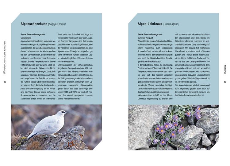 Produktbild: Wandern, wo andere forschen