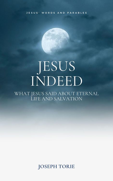 Produktbild: Jesus Indeed (Jesus and Gospels, #1)