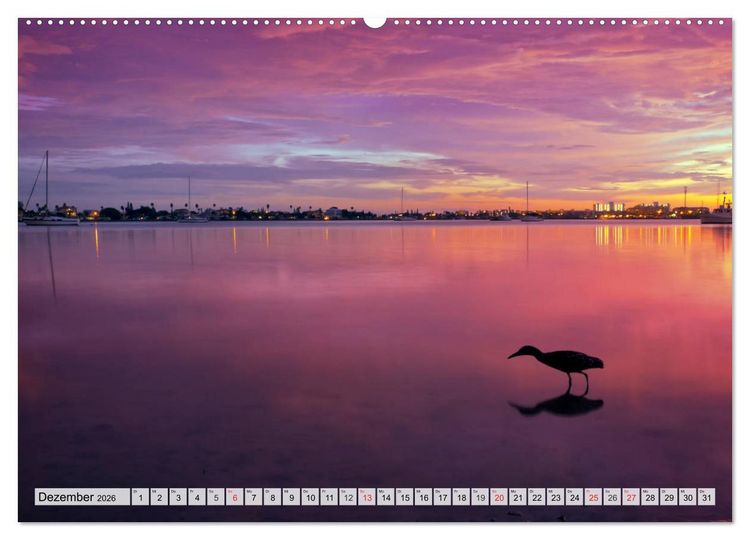 Produktbild: FLORIDA Paradiesischer Sonnenscheinstaat (Wandkalender 2026 DIN A2 quer), CALVENDO Monatskalender