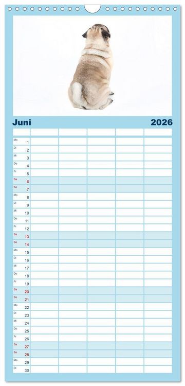 Produktbild: Familienplaner 2026 - Mops - unwiderstehlich und charmant mit 5 Spalten (Wandkalender, 21 x 45 cm) CALVENDO