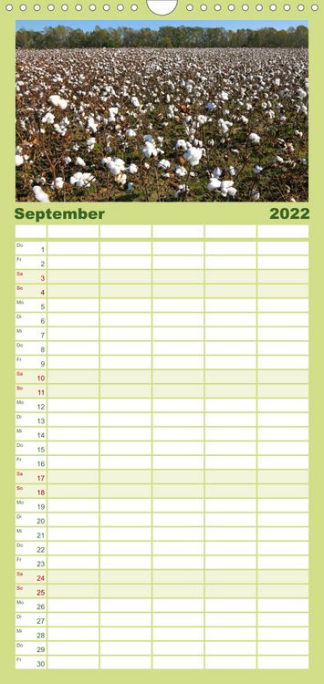 Produktbild: Familienplaner S&uuml;dosten der USA (Wandkalender 2022 , 21 cm x 45 cm, hoch)