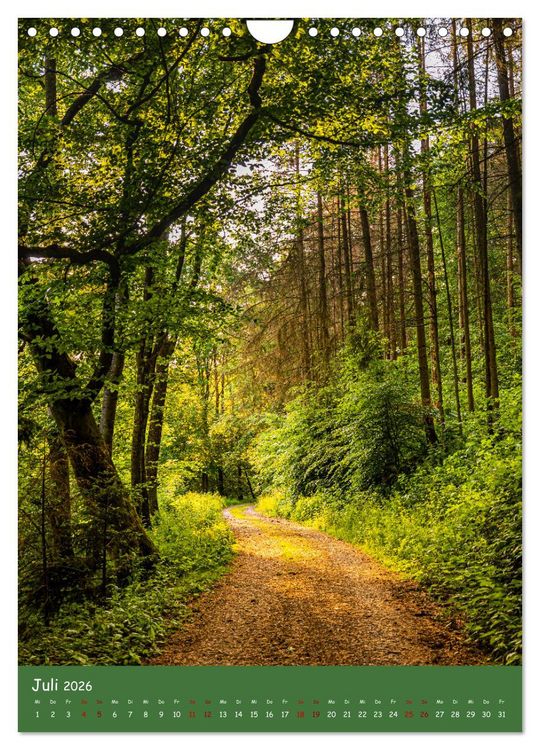 Produktbild: Ich bin dann mal im Wald (Wandkalender 2026 DIN A4 hoch), CALVENDO Monatskalender
