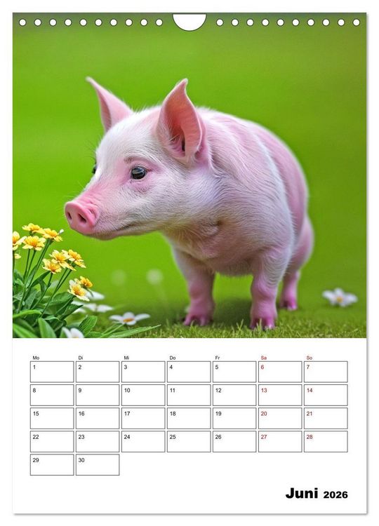 Produktbild: Mit Tieren hinein in das neue Jahr (Wandkalender 2026 DIN A4 hoch), CALVENDO Monatskalender