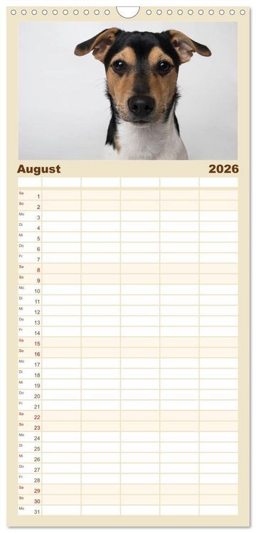 Produktbild: Familienplaner 2026 - Kleine Hunde - Gro&szlig;e Blicke mit 5 Spalten (Wandkalender, 21 x 45 cm) CALVENDO
