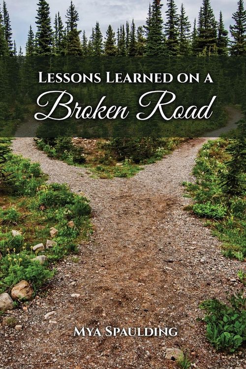 Produktbild: Lessons Learned on a Broken Road
