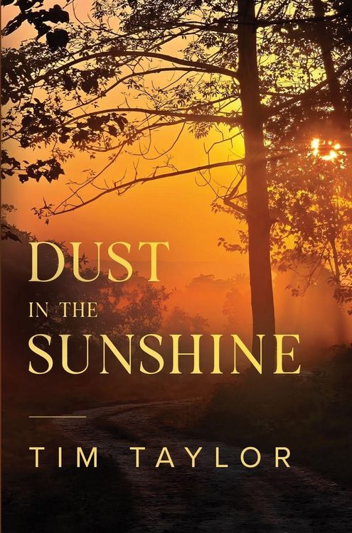 Produktbild: Dust in the Sunshine