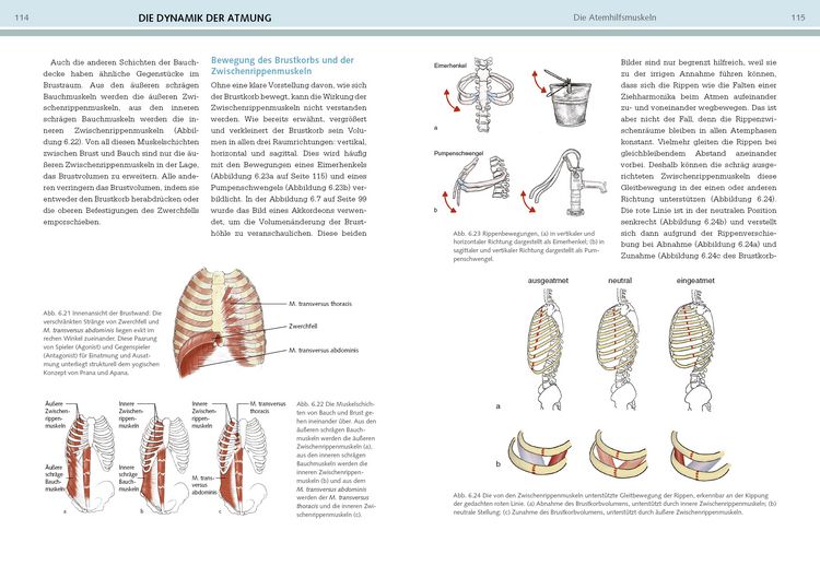 Produktbild: Yoga-Anatomie