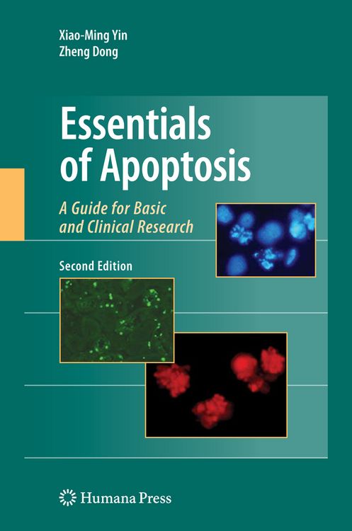Produktbild: Essentials of Apoptosis