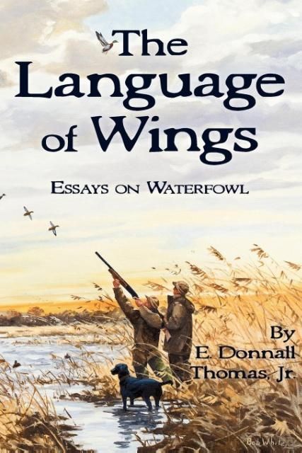 Produktbild: The Language of Wings